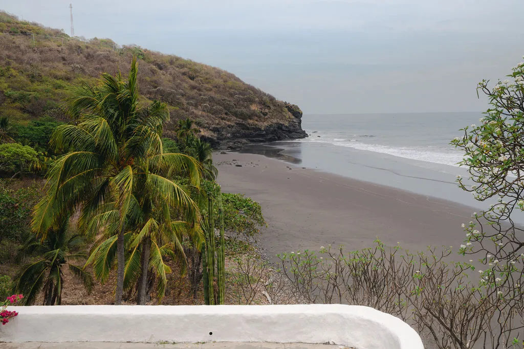 Playa de arena oscura, palmeras y acantilado frente al mar.